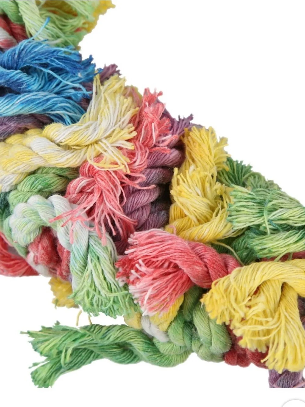 Featherland Paradise this cotton